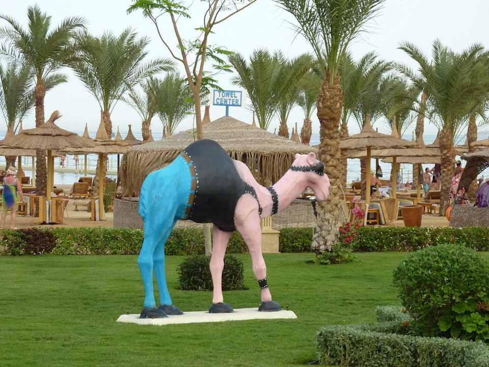 Еще достопримечательность Pickalbatros Palace Resort