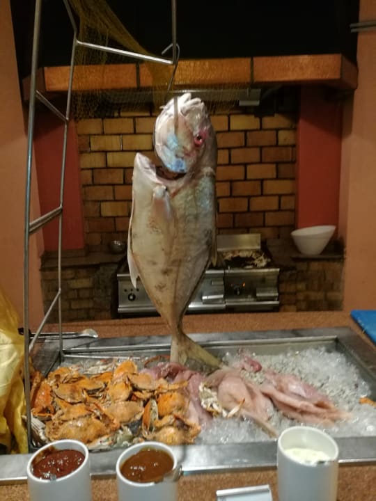 Frischer Fisch Sheraton Miramar Resort El Gouna