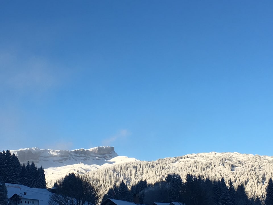 Ausblick Hotel Birkenhöhe