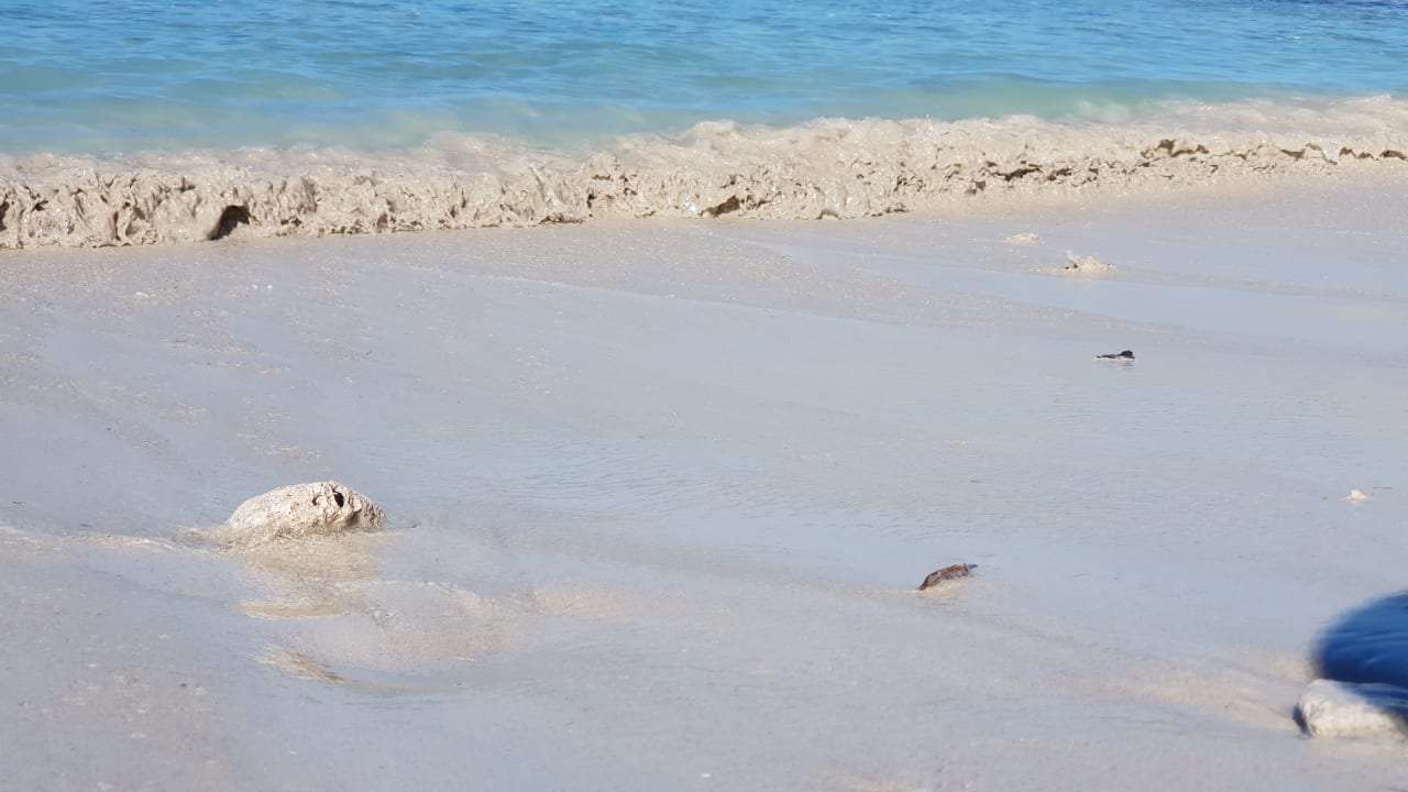 Strand Paradisus Varadero Resort & Spa