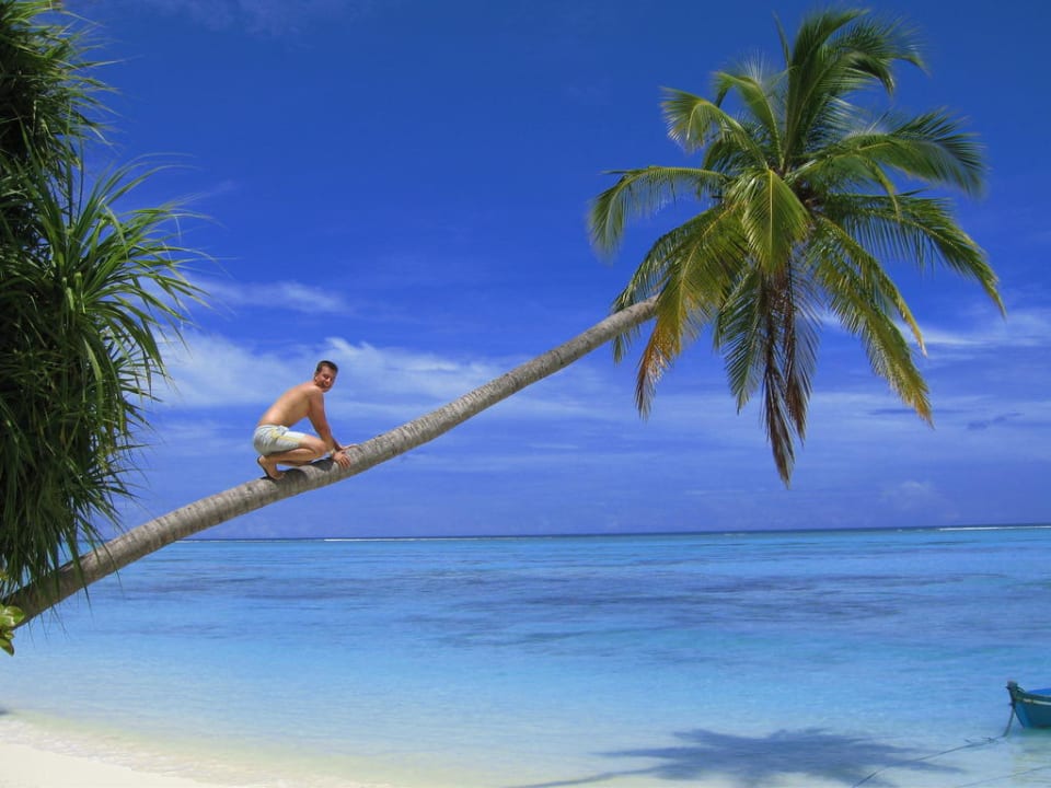 Ab auf die Palme Meeru Maldives Resort Island