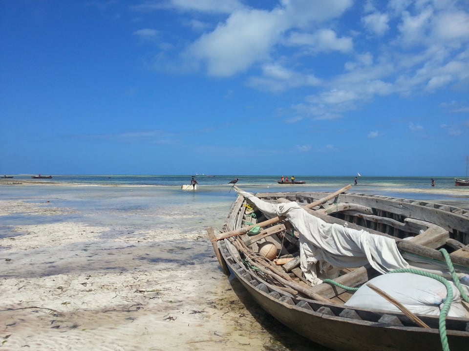 Strand bei Ebbe Jaz Adonia Beach Resort