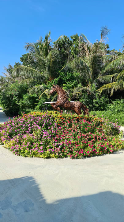 Gartenanlage You & Me Maldives