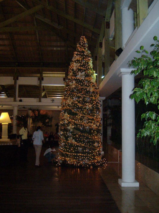 Riesiger Weihnachtsbaum in der Lobby Catalonia Punta Cana - All Inclusive