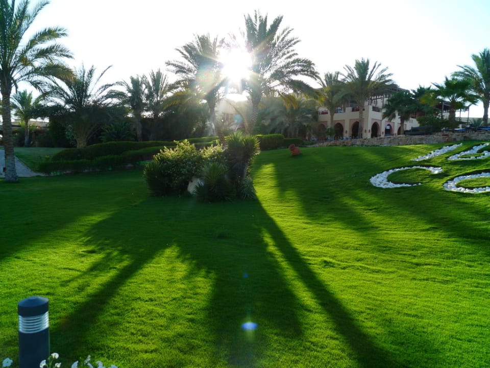 Coraya Beach, Garten Steigenberger Coraya Beach - Adults only