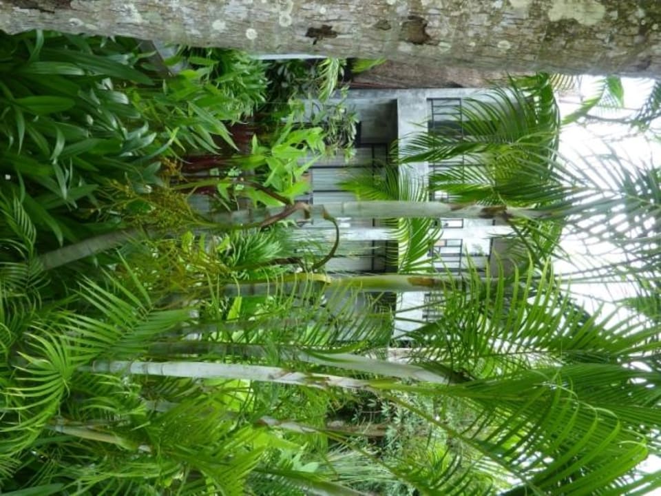 Villa Nr.: 88 Hotel The Dewa Koh Chang