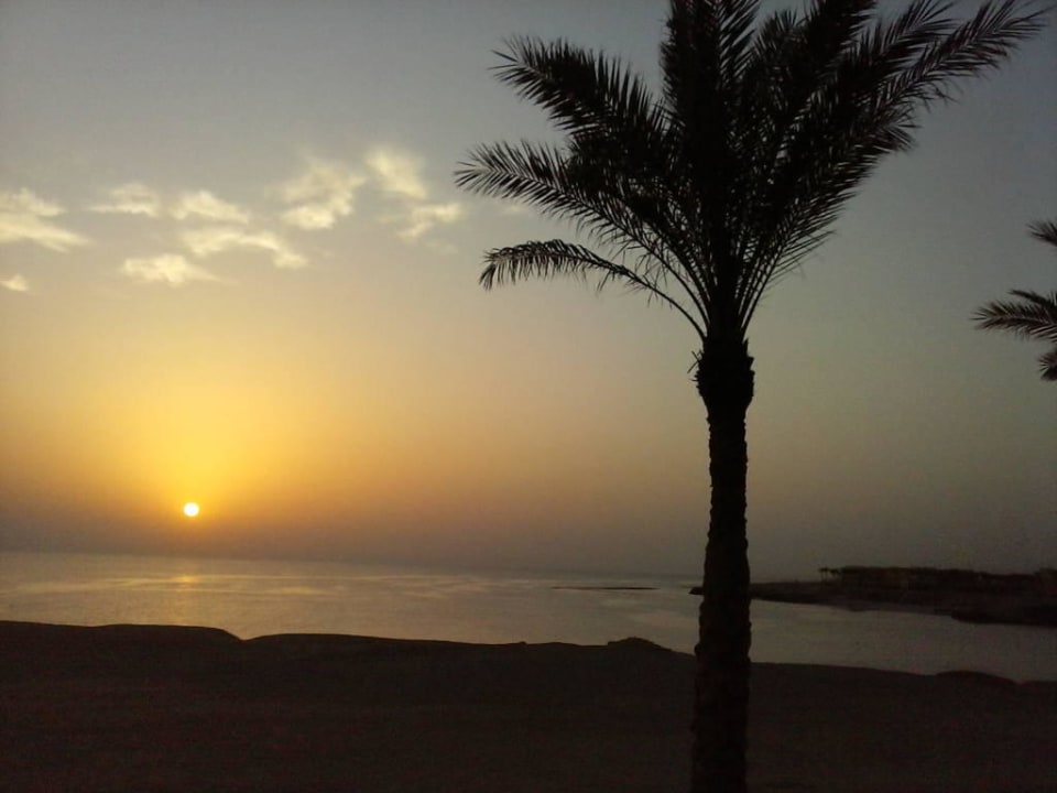 Sonnenaufgang Steigenberger Coraya Beach - Adults only