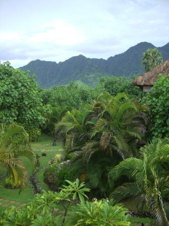 Ausblick von der Terrasse Taman Sari Bali Resort and Spa