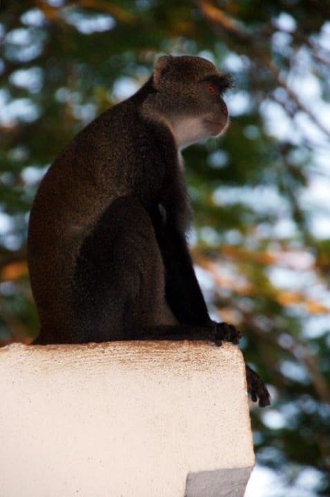 Besucher Hotel Papillon Lagoon Reef