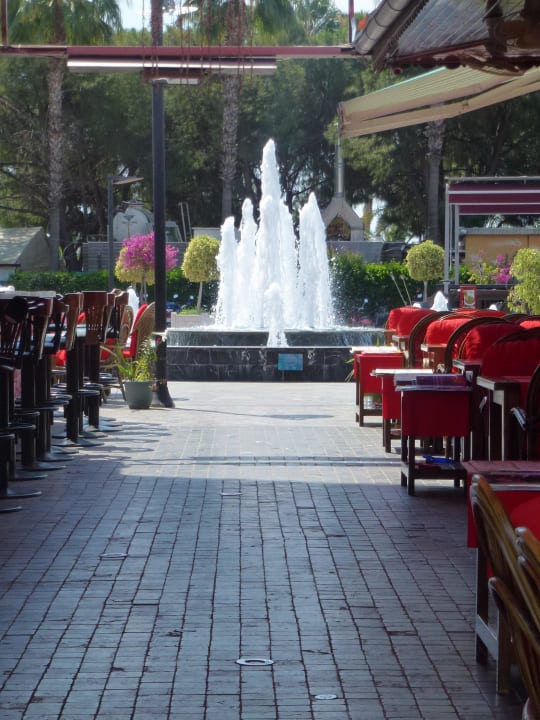 Im der Zufahrt Hotel Club Paradiso