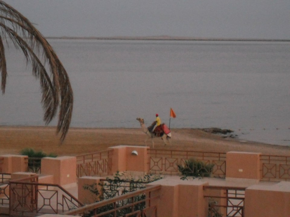 Zum Meer Shams Prestige Abu Soma-Adults Only