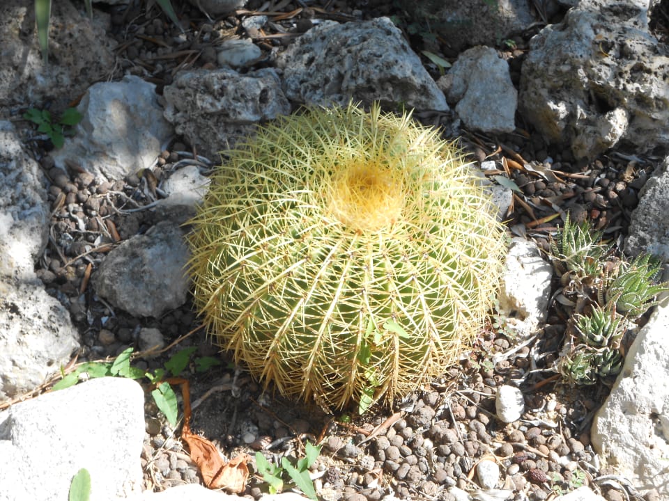 Gartenanlage Le Roccette Mare Beach Hotel & Restaurant