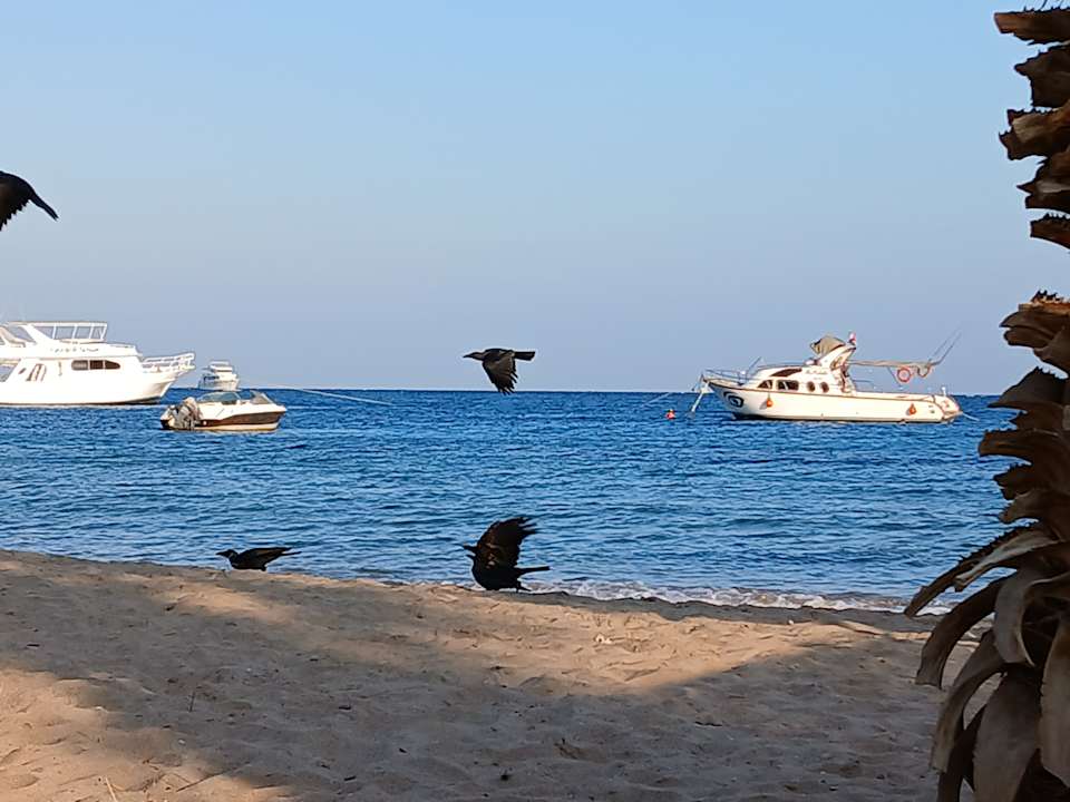 Strand Lotus Bay Beach Resort