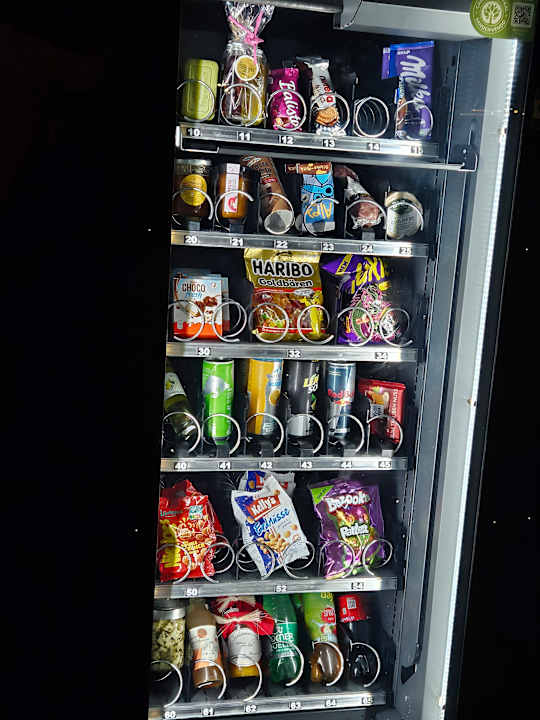 Sport & Freizeit Oberauer Wagrain - Die Eco Familien Hotelpension (B&B)