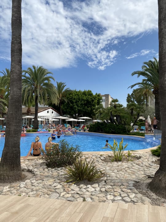 Pool Alcudia Garden Aparthotel