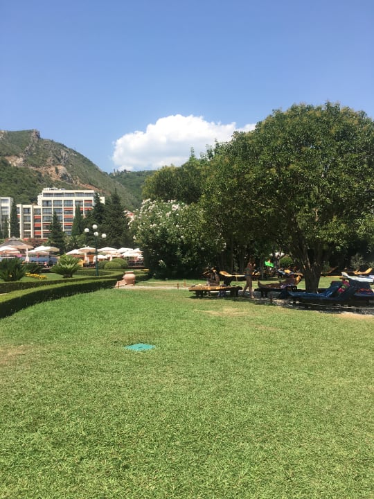 Gartenanlage Iberostar Waves Bellevue