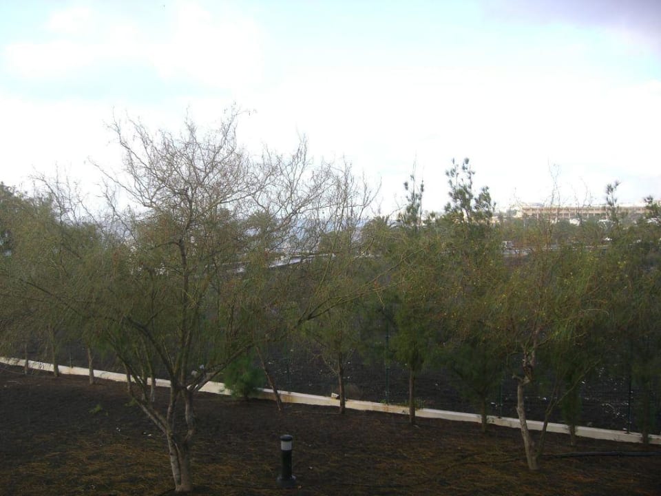 Meerblick 1.Etage allsun App.-Hotel Albatros