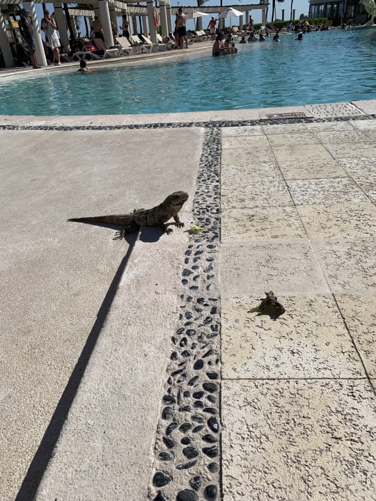 Sonstiges Dreams Tulum Resort & Spa