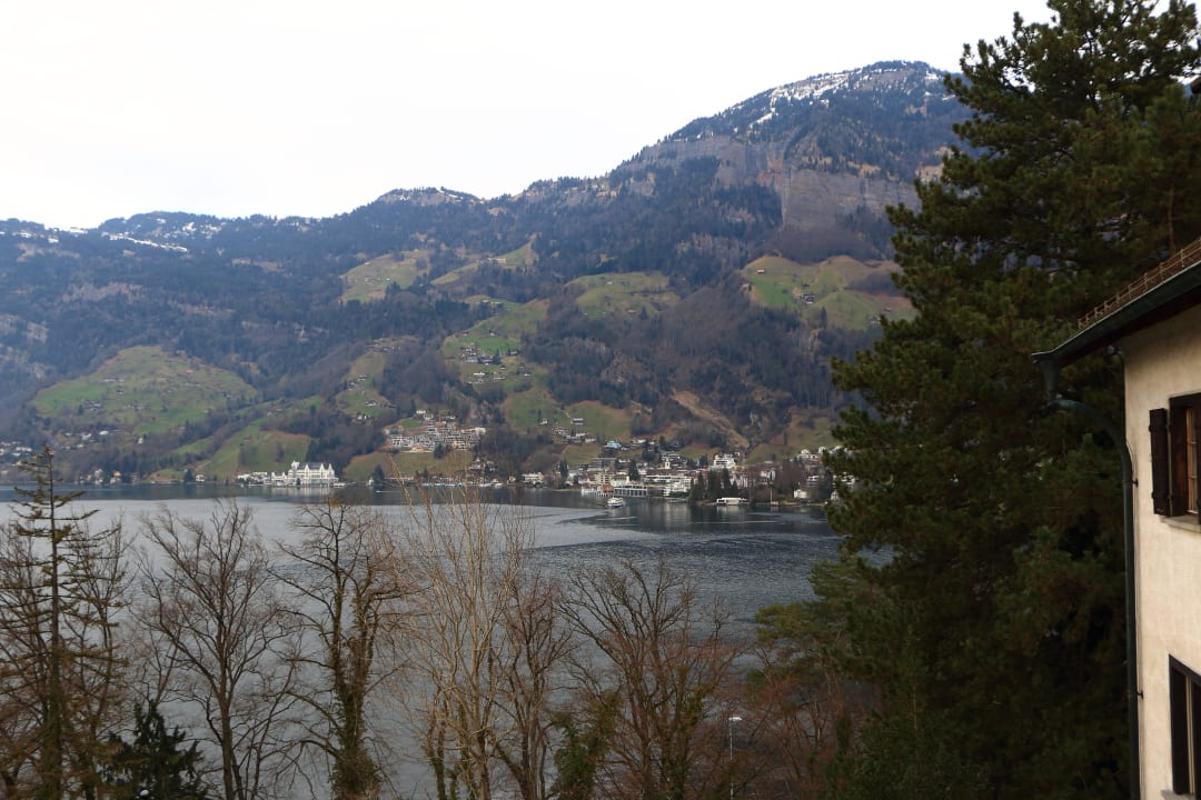 Blick in Richtung Vitznau See- und Seminarhotel FloraAlpina