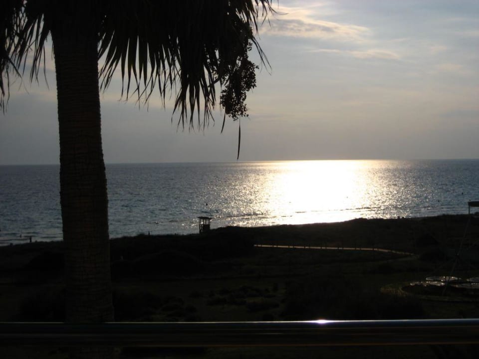 Aussicht vom Balkon Royal Son Bou Family Club