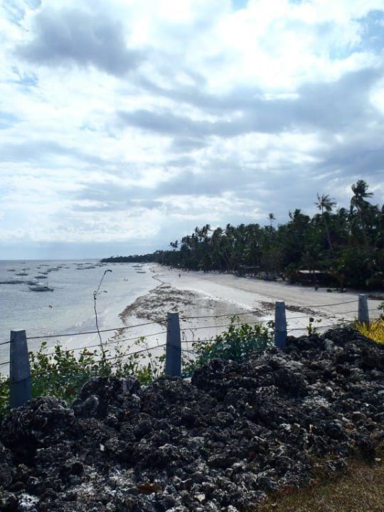 Alona Beach Hotel Amorita Resort