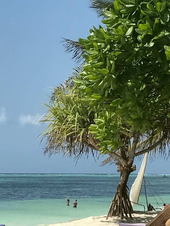 Strand Neptune Pwani Beach Resort & Spa