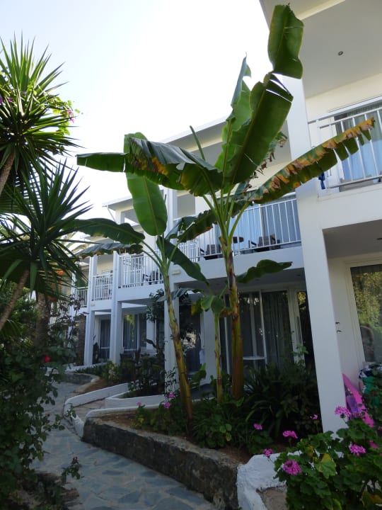 Außenansicht HARPIN Happy Days Beach Hotel