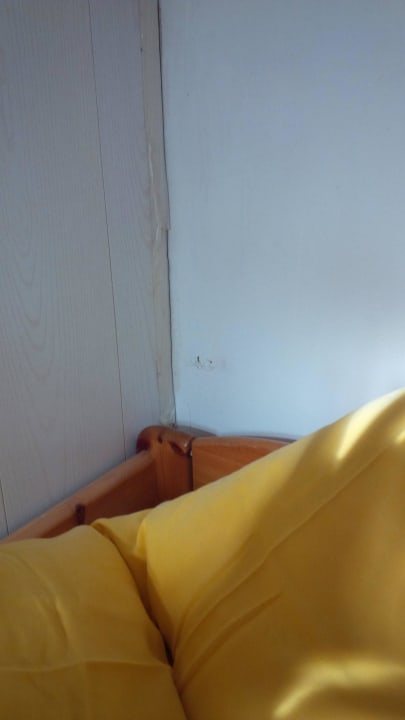 Spinne auf Kopfkissen  Aparthotel Leinegarten