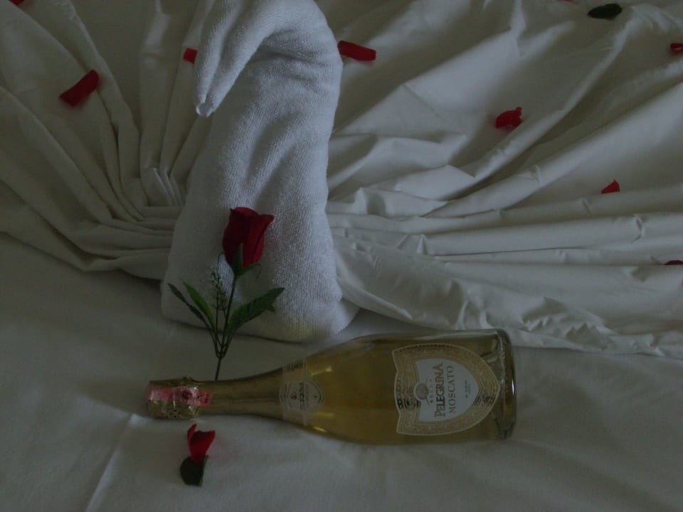 Geburtstag Seaden Sea World Resort & Spa