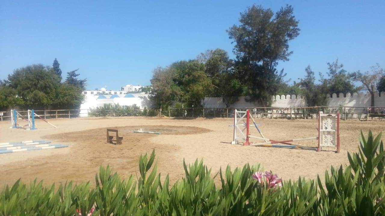 Reitareal ! Samira Club
