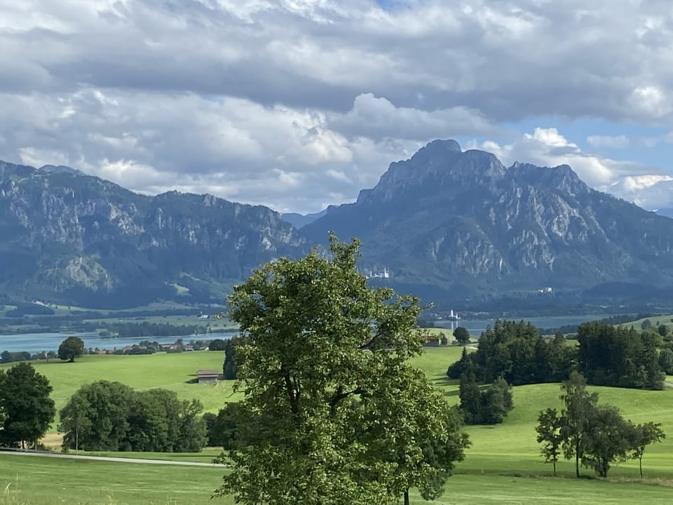 Ausblick Greinwaldhof Ferienwohnungen