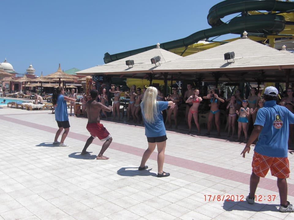 Freizeit Pickalbatros Aqua Park Resort - Hurghada
