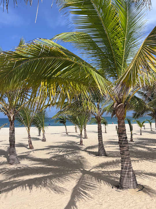 Strand Hotel Riu Palace Boavista