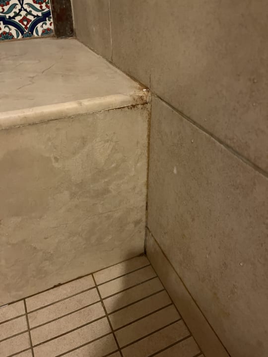 Zimmer Well Palace Side