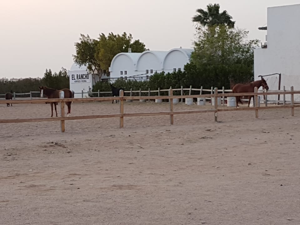 Sport & Freizeit Hotel Mercure Hurghada