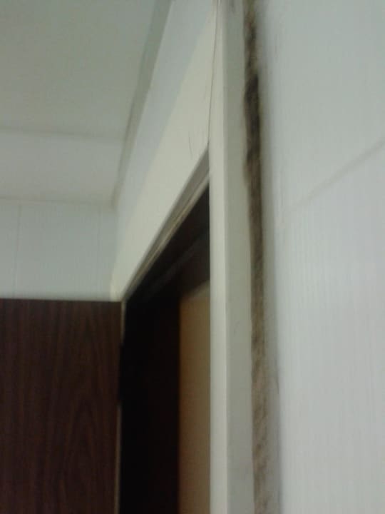 Schimmel  im ganzen Zimmer Topaz Hotel