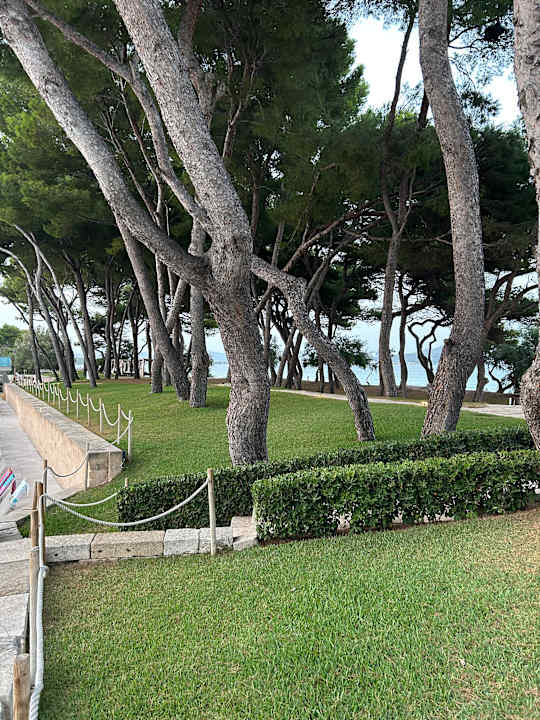 Gartenanlage Iberostar Waves Playa de Muro