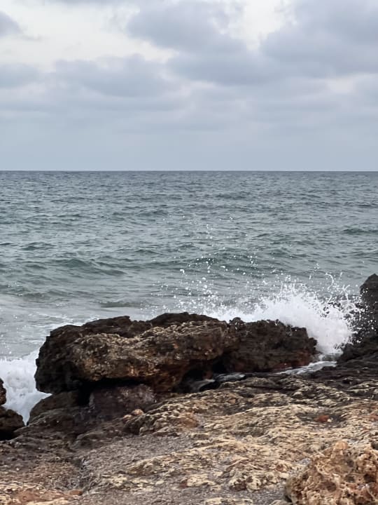 Sonstiges Hipotels Mediterraneo Club