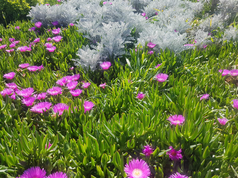 Sonstiges Aydinbey Kings Palace & Spa