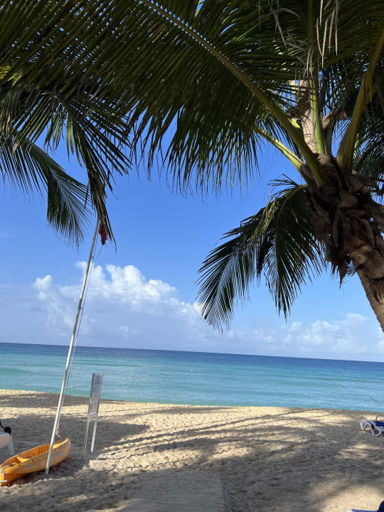 Strand Hotel Viva Dominicus Palace by Wyndham-All Inclusive Resort