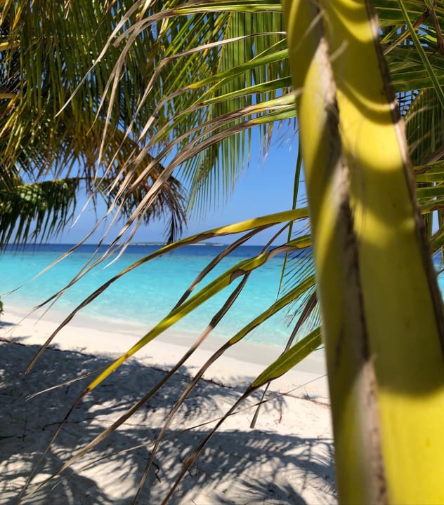 Strand Adaaran Select Meedhupparu Island Resort - Premium All Inclusive