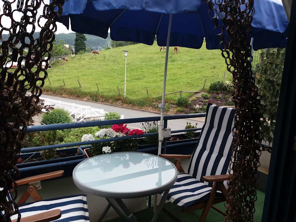 Ausblick Ferienwohnung Elsholz Willingen