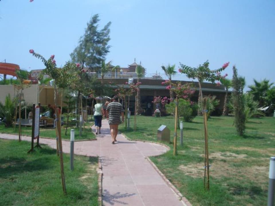 Poolbar Calimera Hane Garden