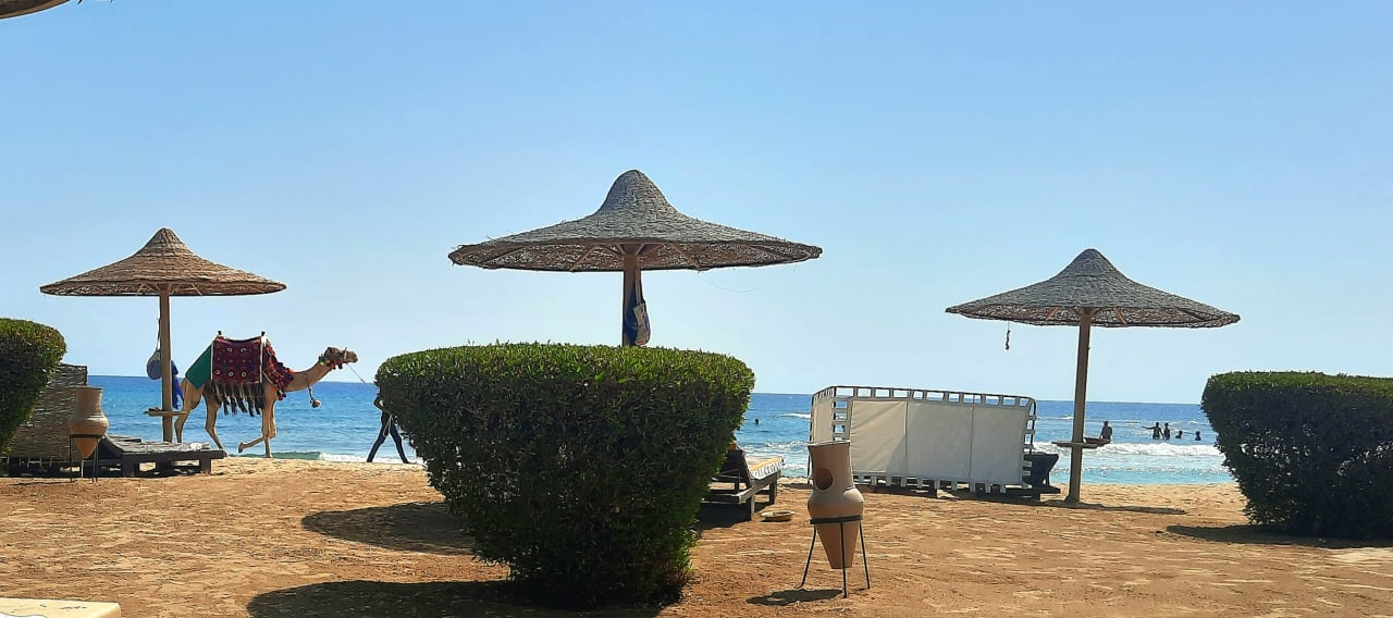 Strand Shams Alam Beach Resort