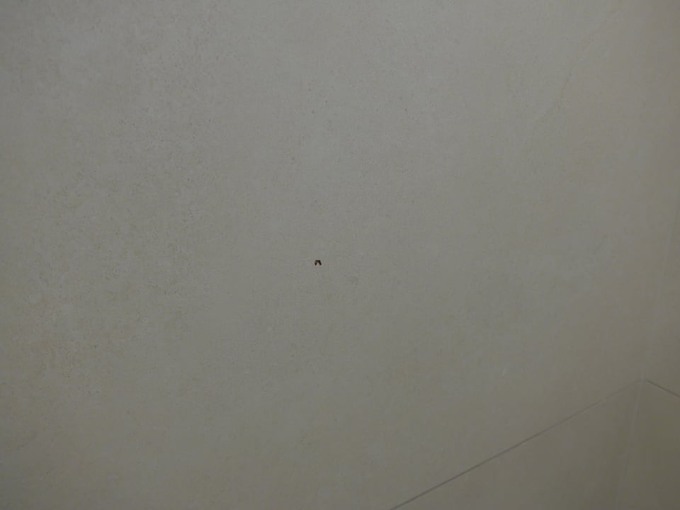 Zimmer Blau Colònia Sant Jordi