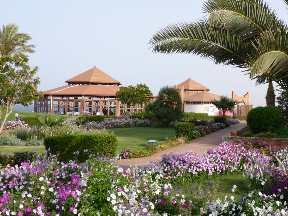 Gartenanlage Three Corners Equinox Beach Resort