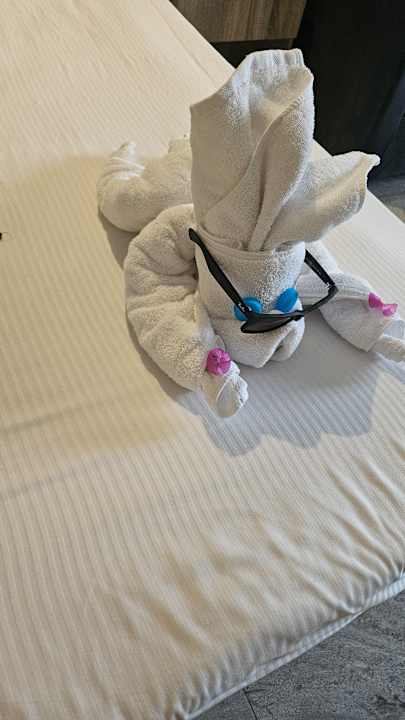 Zimmer Seagull Beach Resort