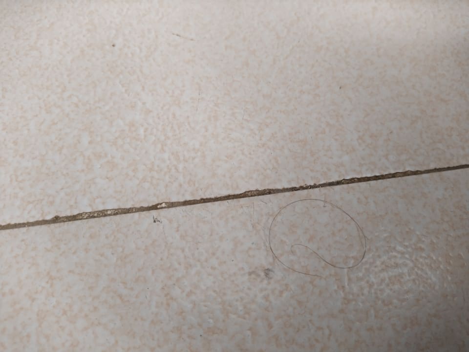 Zimmer blau punta reina