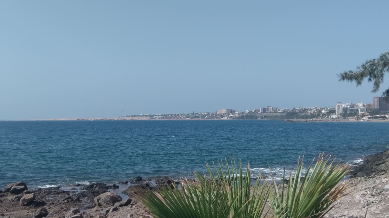 Strand Corallium Beach by Lopesan Hotels - Adults only