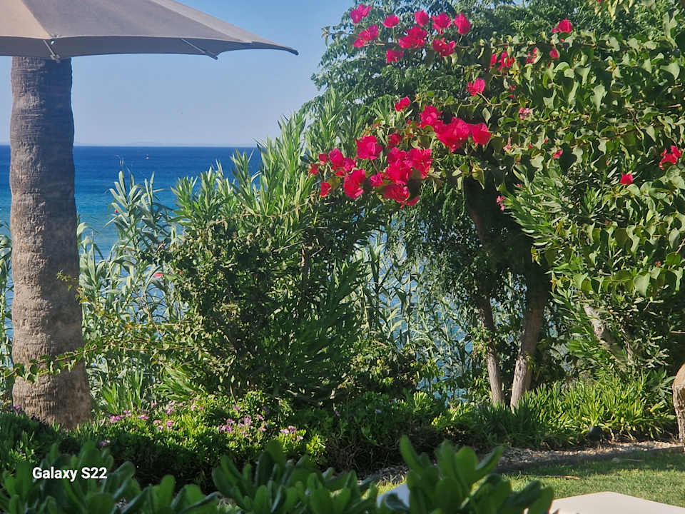 Außenansicht Crystal Springs Beach Hotel